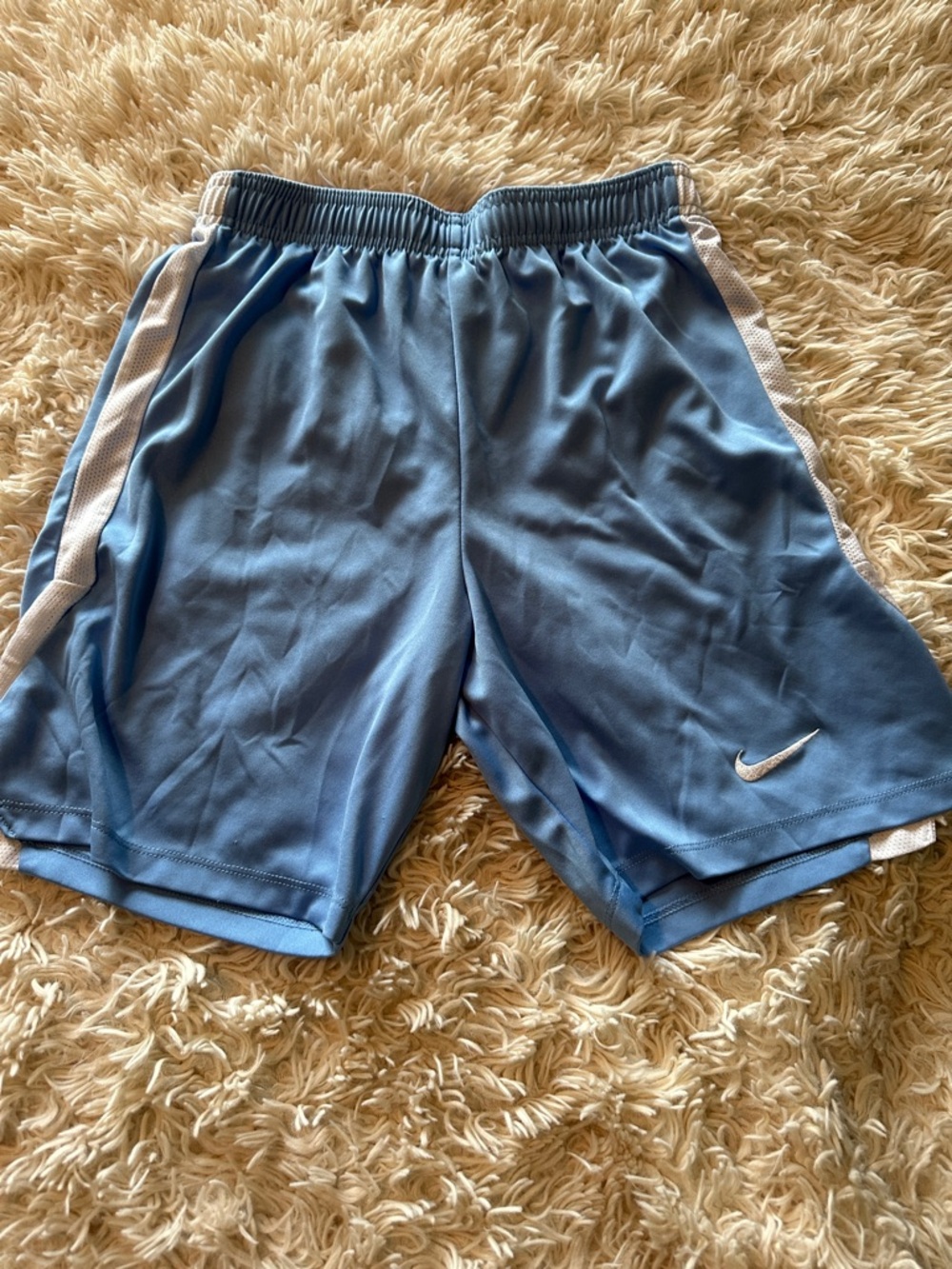 Nike Men’s Light Blue Athletic Shorts with White Trim